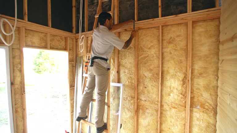 Best Spray Foam Insulation  in Collinsville, VA